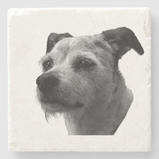 Steady Companion – Parson Russell Terrier Stone Coaster (Front)