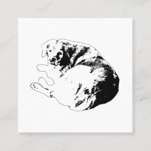 Steady Curve, Trusting Look Square Business Card