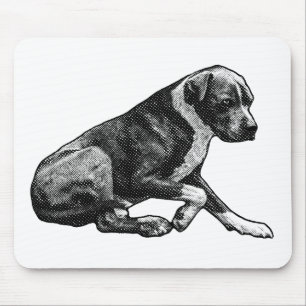 Steady desk season mouse pad
