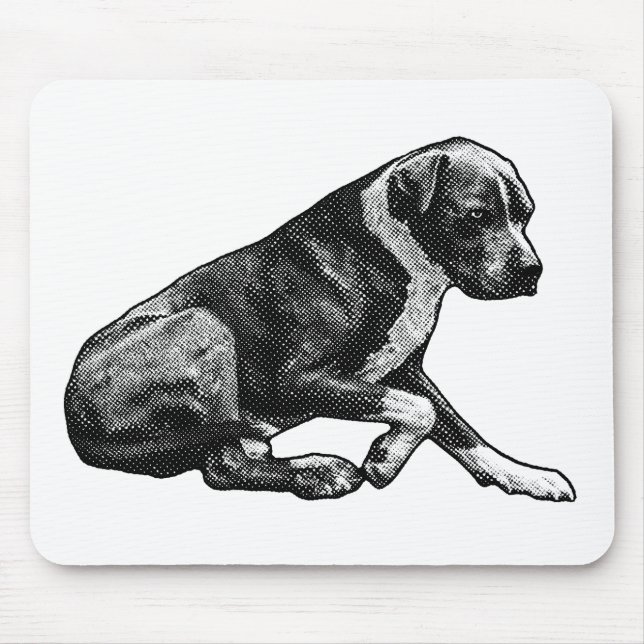Steady desk season mouse pad (Front)