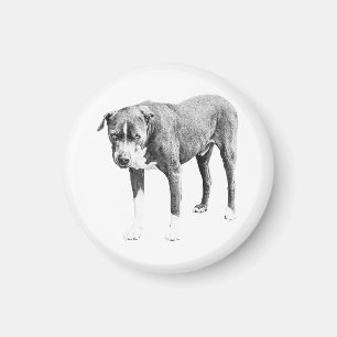 Steady Gaze Fridge Magnet