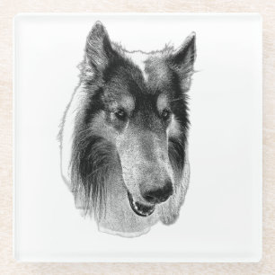 Steady Surface – Collie Glass Coaster