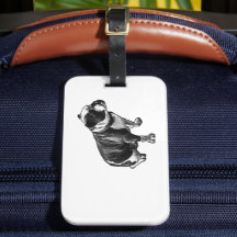 Steady Through Travel