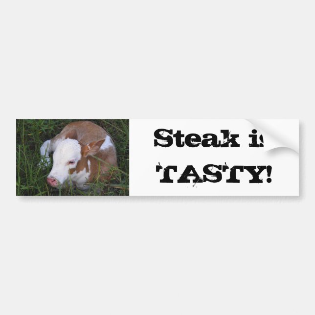 Steak Is Tasty bumper sticker (Front)