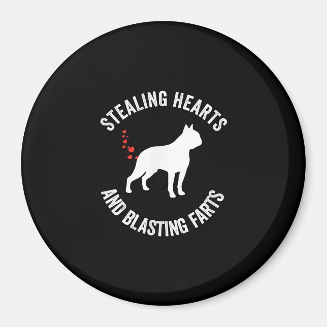 Stealing Hearts And Blasting Farts Boston Terrier Magnet (Front)