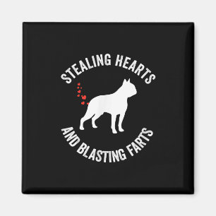 Stealing Hearts And Blasting Farts Boston Terrier Magnet