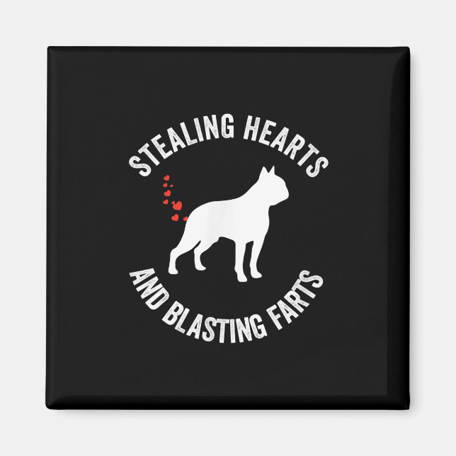 Stealing Hearts And Blasting Farts Boston Terrier Magnet (Front)