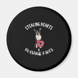Stealing Hearts Blasting Farts Boston Terrier Magnet
