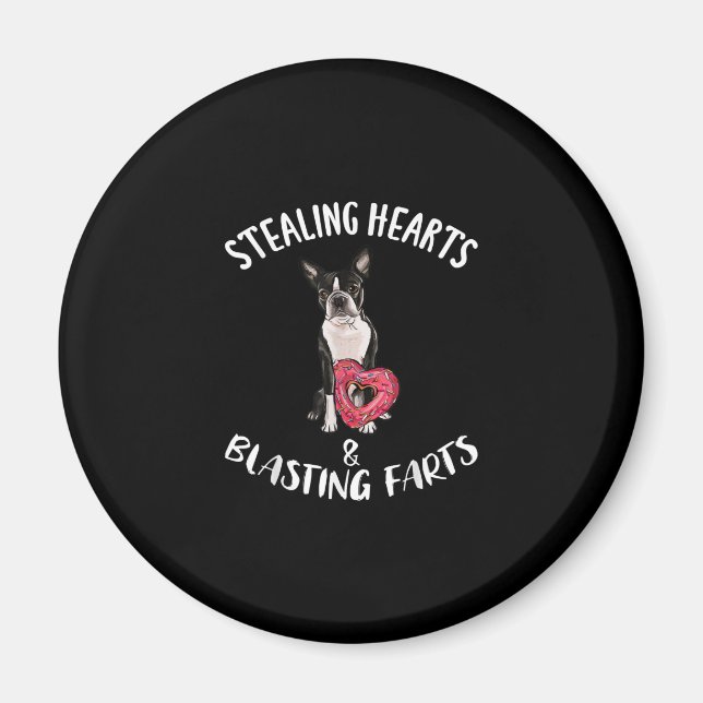 Stealing Hearts Blasting Farts Boston Terrier Magnet (Front)