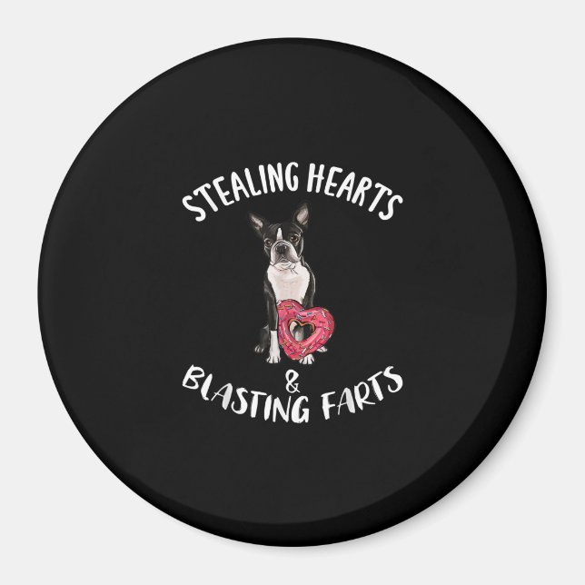 Stealing Hearts Blasting Farts Boston Terrier Magnet (Front)