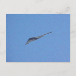 Stealth Bomber Postcard