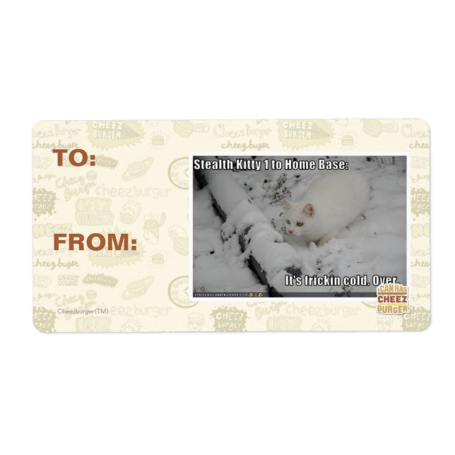 Stealth Kitty 1 (Front)