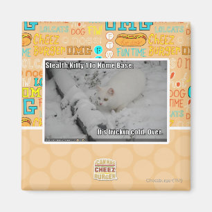 Stealth Kitty 1 Magnet