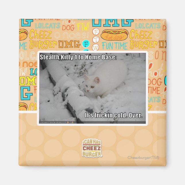 Stealth Kitty 1 Magnet (Front)