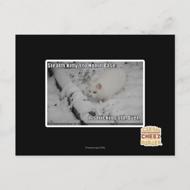 Stealth Kitty 1 Postcard (Front)