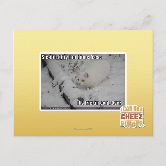 Stealth Kitty 1 Postcard (Front)
