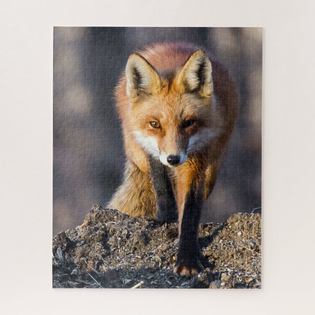 Stealthy Fox Jigsaw Puzzle (Vertical)