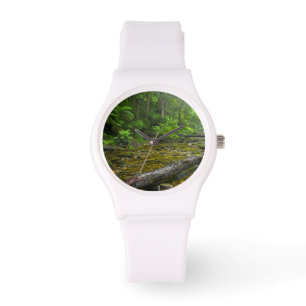 Steam In Forest, The Knysna-Amatole Montane Watch