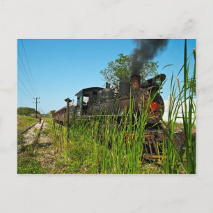 Steam Locomotive in high grass Postcard