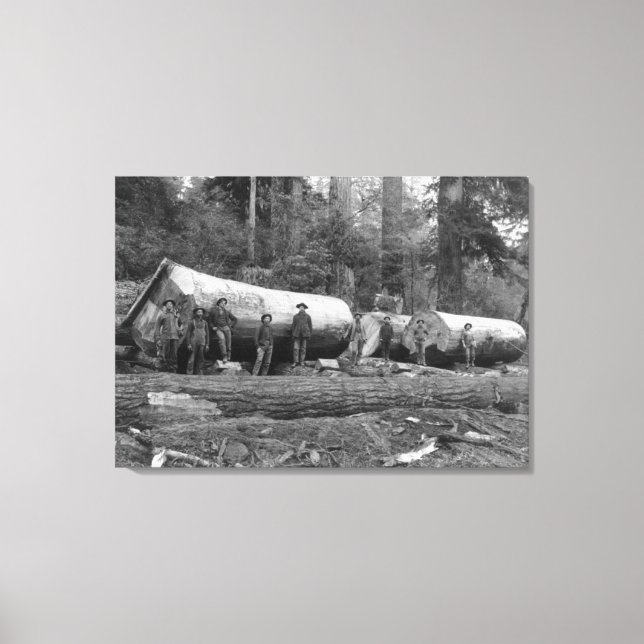 Steam Logging in the Cascades of Washington Stat Canvas Print (Front)