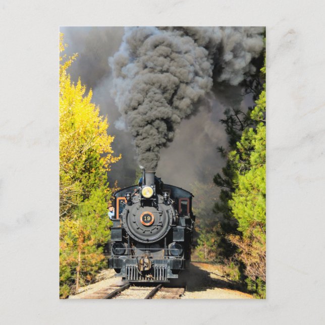 Steam Train 19 Postcard (Front)