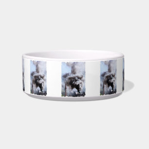 STEAM TRAIN BOWL