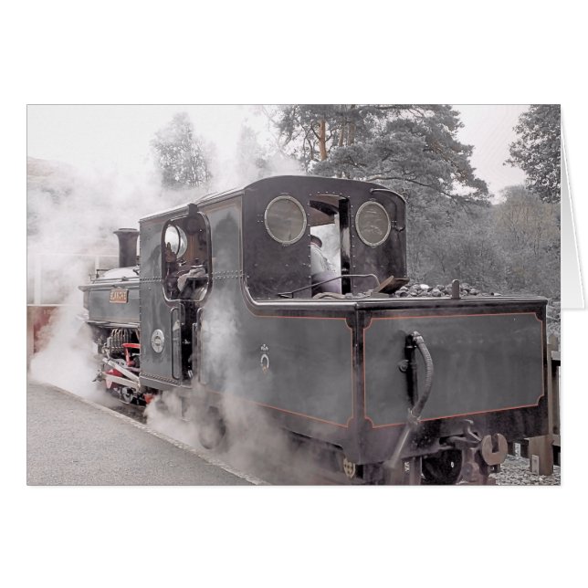 STEAM TRAINS (Front Horizontal)