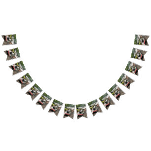 STEAM TRAINS BUNTING 