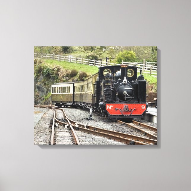STEAM TRAINS CANVAS PRINT (Front)