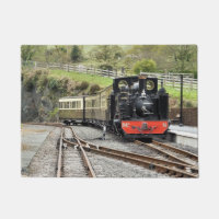 STEAM TRAINS