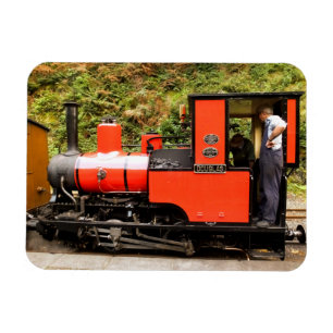STEAM TRAINS MAGNET