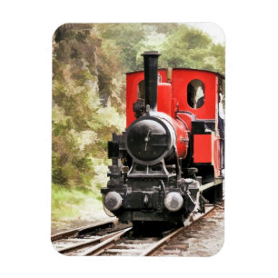 STEAM TRAINS MAGNET