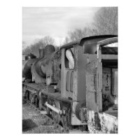 STEAM TRAINS
