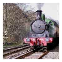 STEAM TRAINS