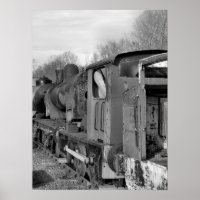 STEAM TRAINS