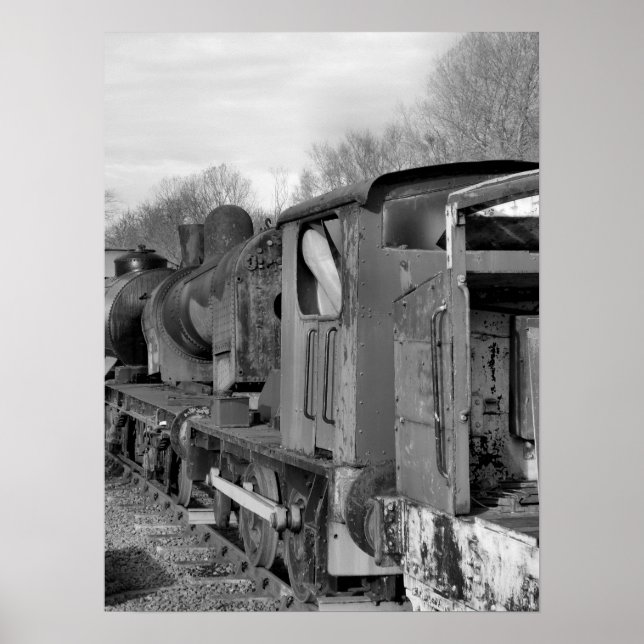 STEAM TRAINS POSTER (Front)