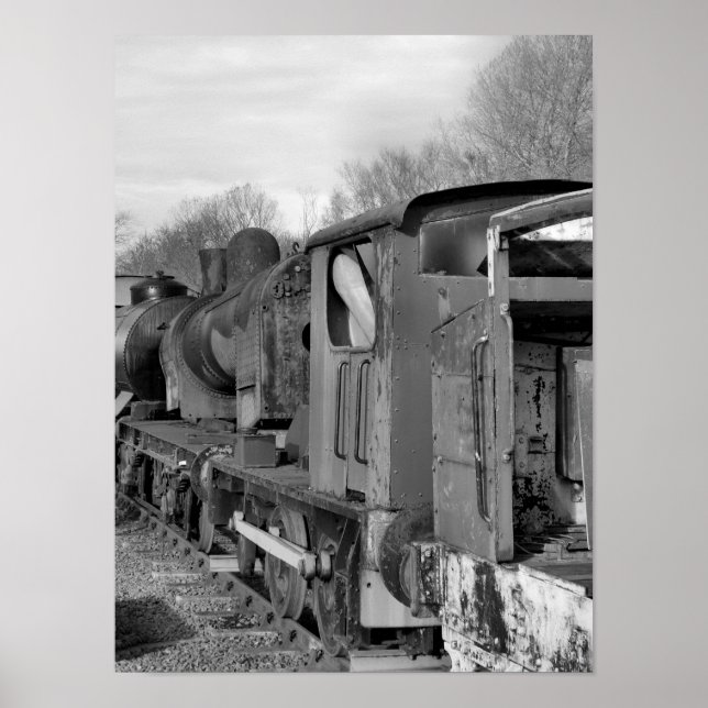 STEAM TRAINS POSTER (Front)