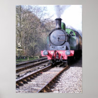 STEAM TRAINS