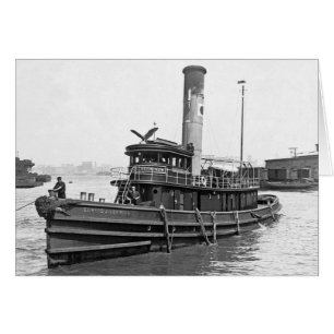 Steam Tug 1905