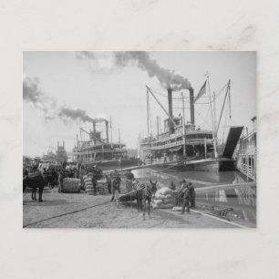 Steamboats at Vicksburg, 1910 Postcard