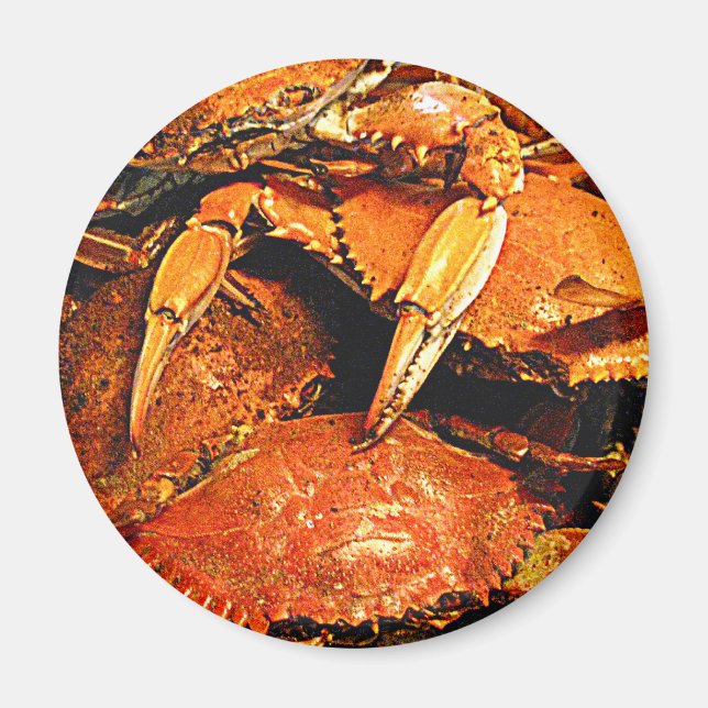 Steamed Maryland Hard Crabs Magnet (Front)
