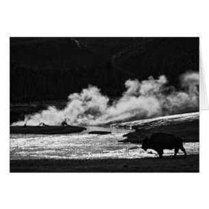 Steaming Bison - Card