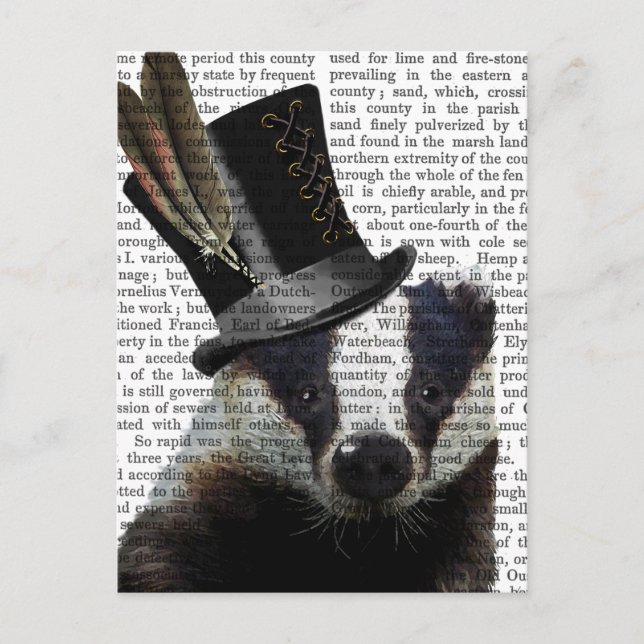 Steampunk Badger in Top Hat Postcard (Front)