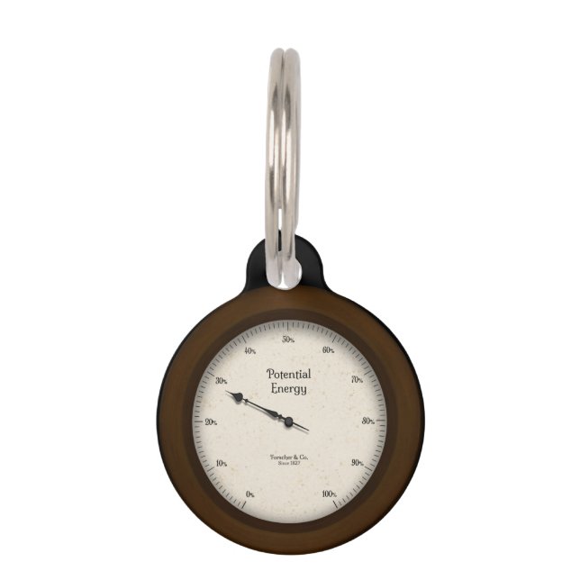 Steampunk Potential Energy Gauge Customizable Pet Tag (Front)