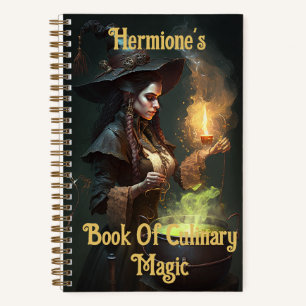 Steampunk Sorceress Notebook