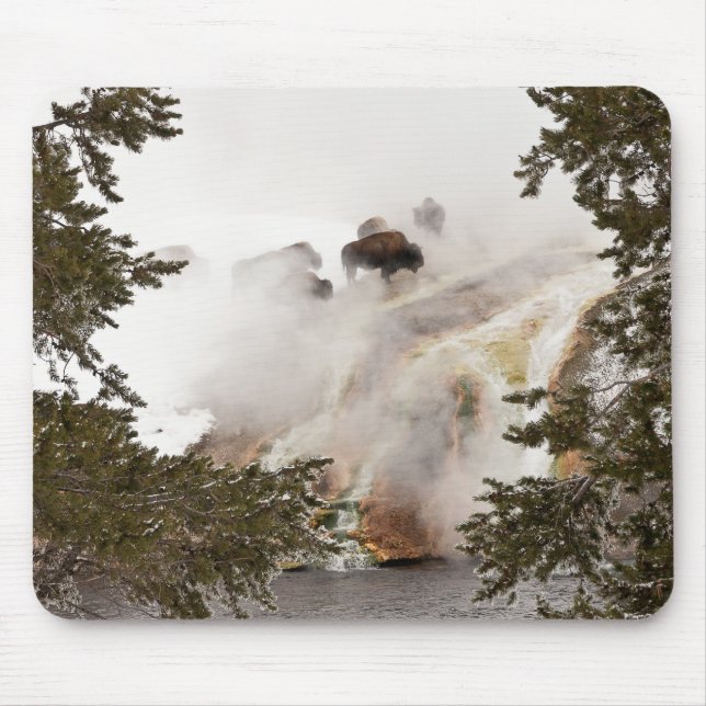 Steamy Bison Mousepad (Front)