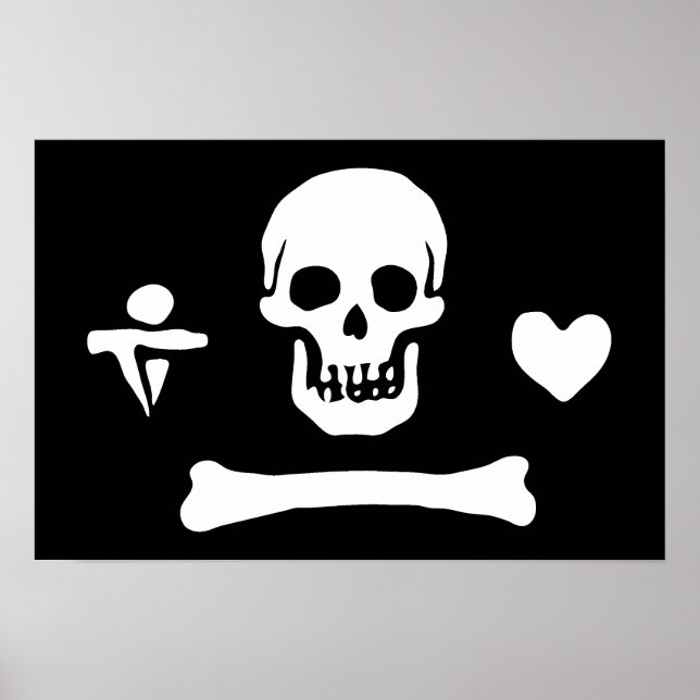 Stede Bonnet Poster (Front)