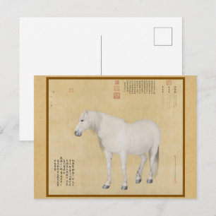 Steed - A Horse Named Benxiaocong Chinese Fine Art Postcard