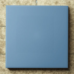 Steel Blue #6897bb Cool Modern Interior Tile