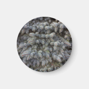 Steel, grey, green and blue spruce classy  button magnet
